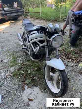 Suzuki bandit 250 Геленджик