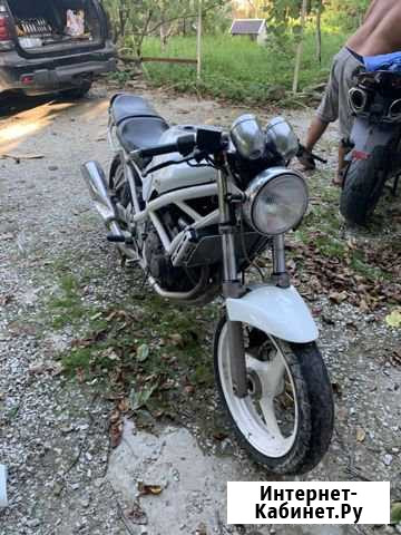 Suzuki bandit 250 Геленджик - изображение 1