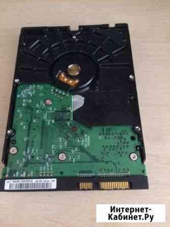 Жесткий диск Western Digital 160gb Евпатория