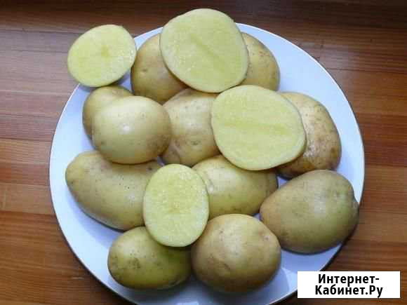 Продам картофель Долгоруково - изображение 1