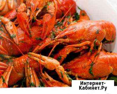 Раки Пятигорск
