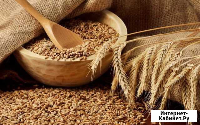 Продам зерно 1 тонну Россошь - изображение 1