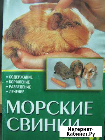 Морские свинки книга Альтман Д Пятигорск - изображение 1