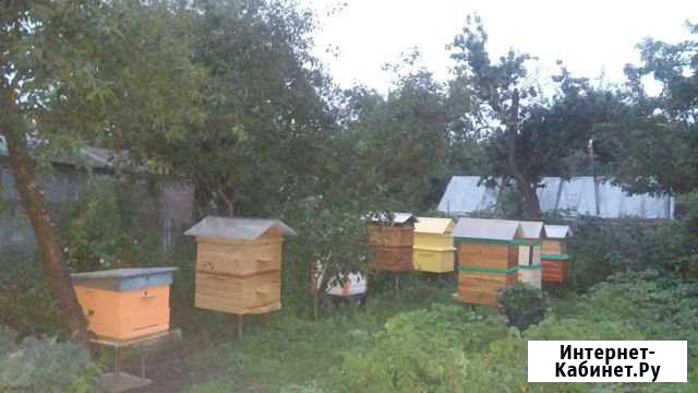Забрус от мёда Калининград - изображение 1