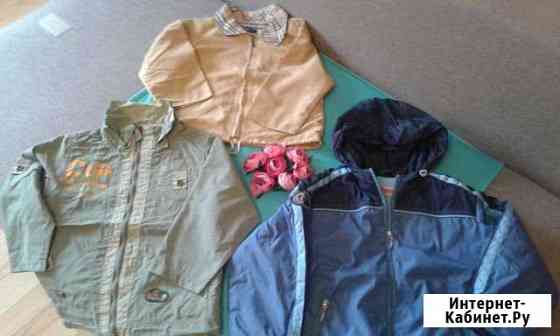 Куртки, ветровки Брянск