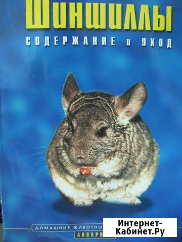 Шиншиллы Содержание и уход Пятигорск - изображение 1