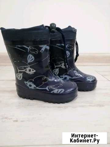 Сапоги резиновые Чита - изображение 1
