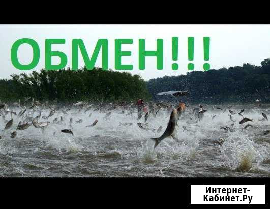 Здание 120м2, Рыбхоз,Фермерское, База Отдых Курск - изображение 1