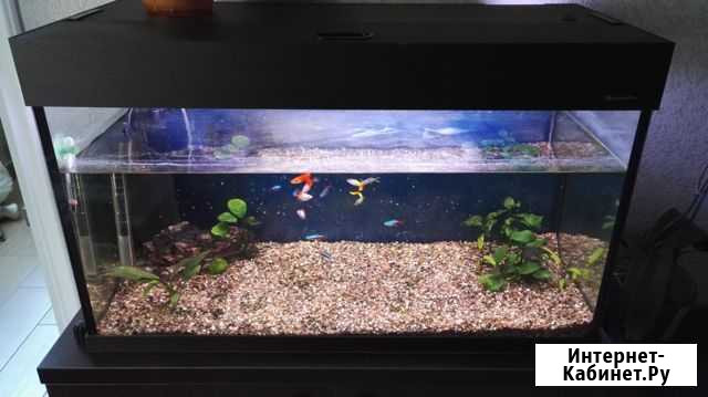Продам аквариум AquaPlus Симферополь - изображение 1