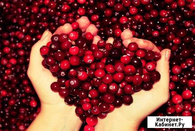 Клюква Березники - изображение 1