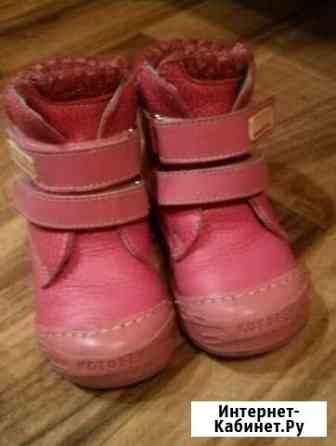 Котофей Краснодар