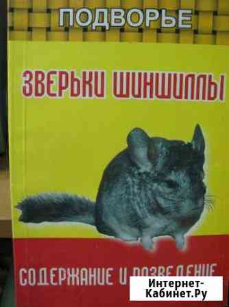 Зверьки шиншиллы Харчук. Ю Пятигорск