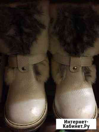 Сапоги зимние Нижний Новгород