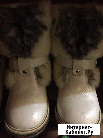 Сапоги зимние Нижний Новгород - изображение 1