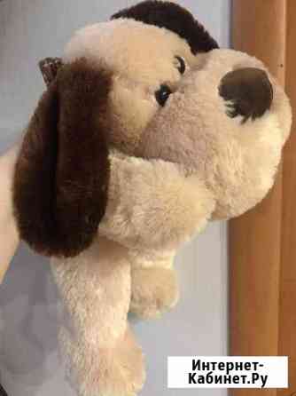 Собачка на животике молния для поларочка Кострома