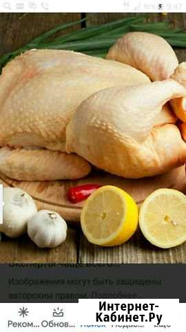 Мясо домашней птицы Калининград - изображение 1