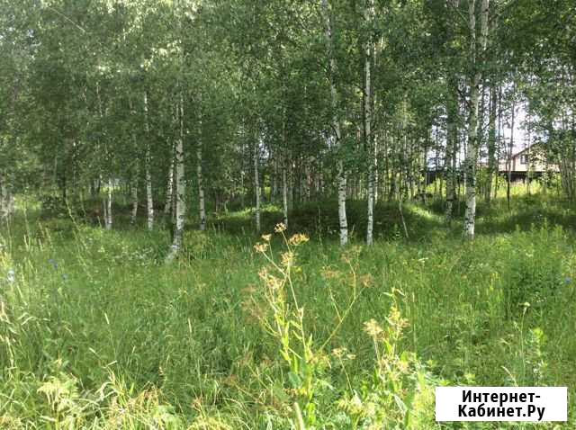 Участок 18 сот. (ИЖС) Кстово - изображение 1