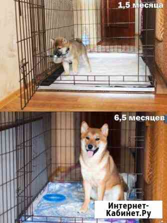 Клетка Краснодар