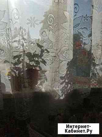 Рыболовная снасть Калининград