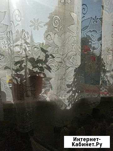 Рыболовная снасть Калининград - изображение 1