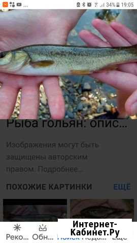 Гольян Нижний Новгород - изображение 1