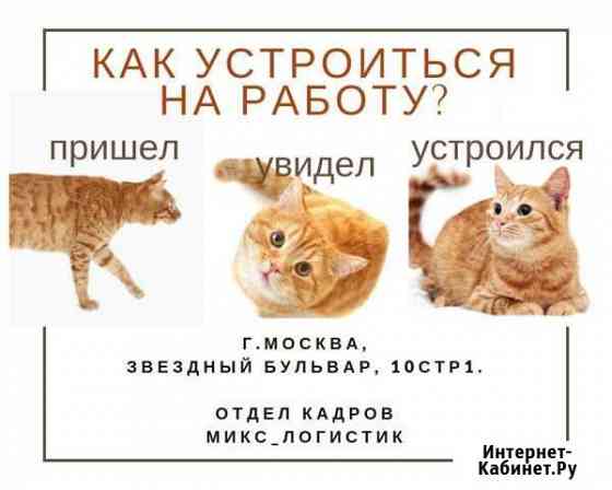 Работа вахтой в Москве с питанием 15-15 Укладчики Москва