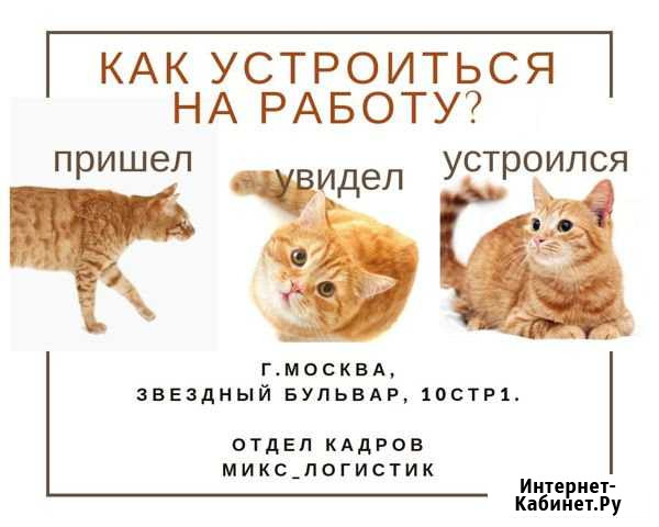 Работа вахтой в Москве с питанием 15-15 Укладчики Москва - изображение 1