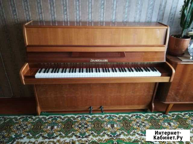 Акустический инструмент zimmer mann Калуга - изображение 1