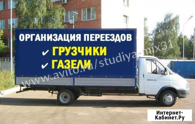 Грузоперевозки для юридических и физических лиц Губкин - изображение 1