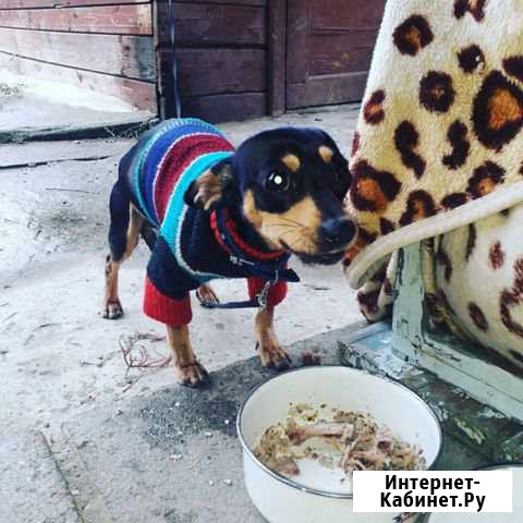 В теплые руки Кропоткин - изображение 1
