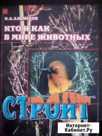 Книга Оренбург