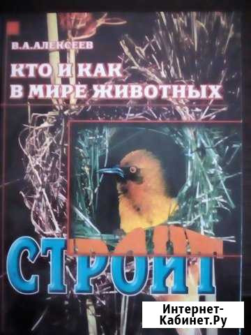 Книга Оренбург - изображение 1