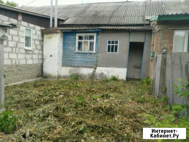 Дом 60 кв.м. на участке 10 сот. Засосна - изображение 1