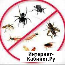 Уничтожение тараканов, комаров и др насекомых Оренбург - изображение 1