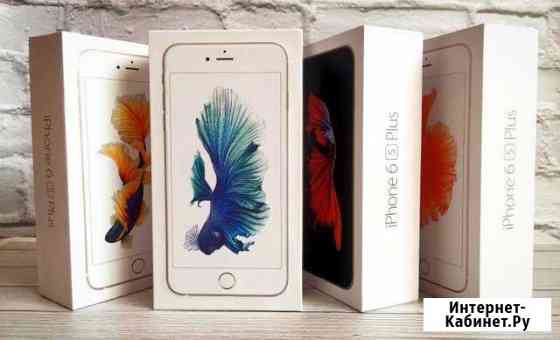iPhone SE / 6 / 6 Plus / 6S / 6S Plus Севастополь