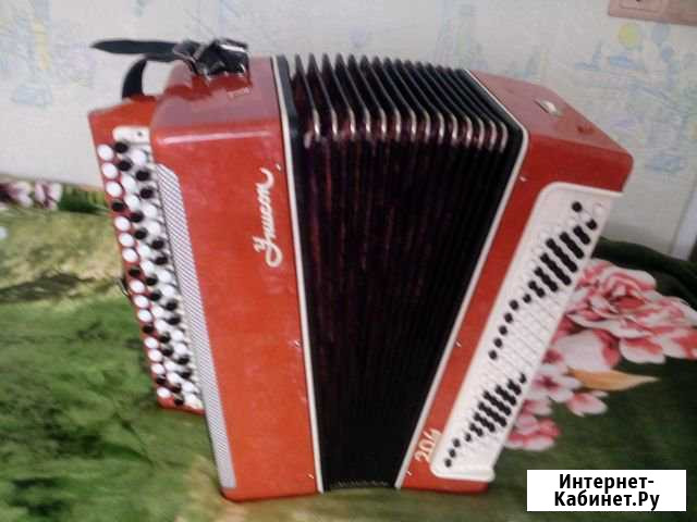 Баян Нижнекамск - изображение 1