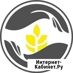Ветврач Карачев - изображение 1