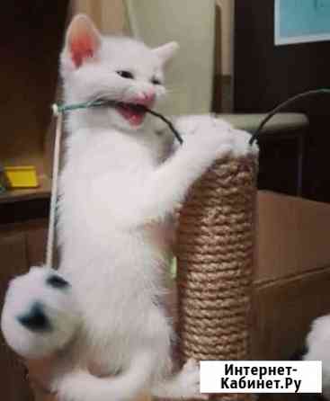 Снежок Волжский Волгоградской области