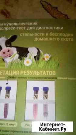 Тест на стельность Старый Оскол