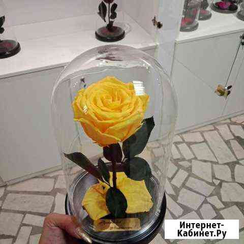 Rose love роза в колбе солнечная Реутов