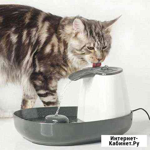 Питьевой фонтанчик cascade Белгород