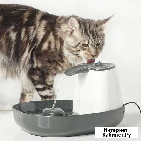 Питьевой фонтанчик cascade Белгород - изображение 1