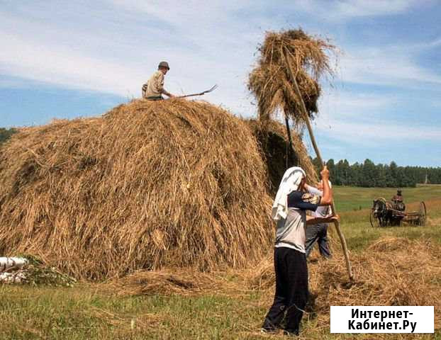 Сено Заюково - изображение 1