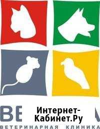 Ветеринарный врач Севастополь - изображение 1