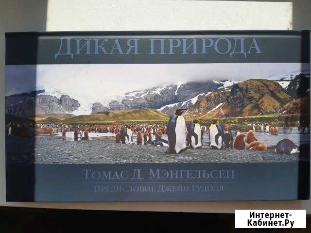 Книга (фотоальбом) Дикая природа Новороссийск - изображение 1