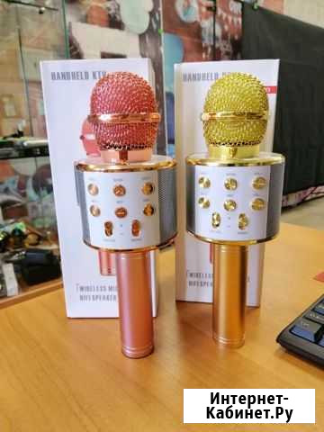 Микрофон караоке Омск - изображение 1