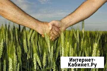 Участок 8.3 га (СНТ, ДНП) Кубанское - изображение 1