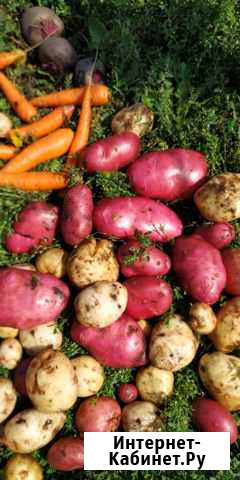 Продукты Бугульма - изображение 1
