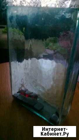 Ваза Волгоград - изображение 1