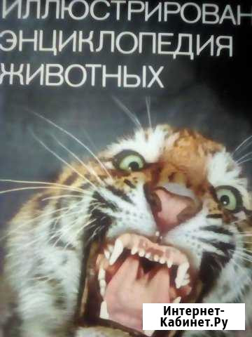 Книга энциклопедия Оренбург - изображение 1